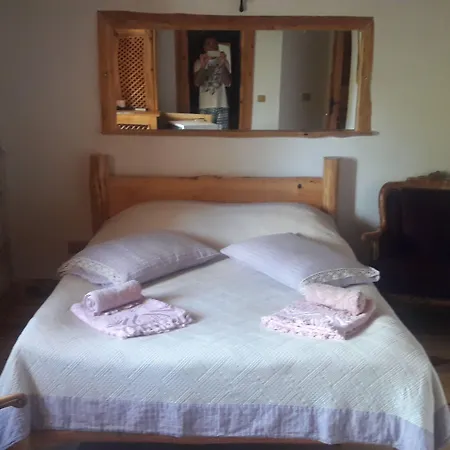 Отель Mogla Tashan 3*