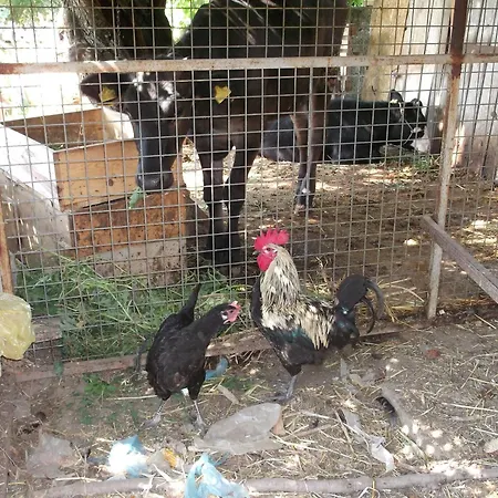 Mogla Tashan Отель