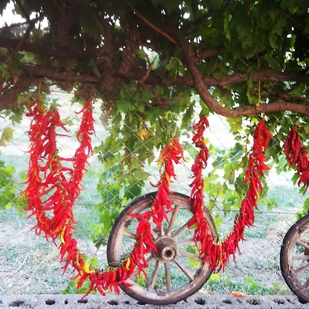 Mogla Tashan Отель