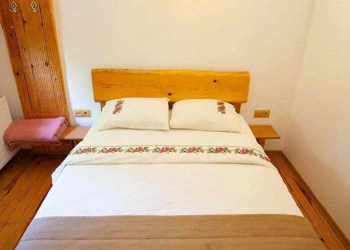 Hotel Mogla Tashan 3*