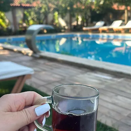 Mogla Tashan Muğla