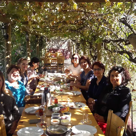 Mogla Tashan 호텔 3*