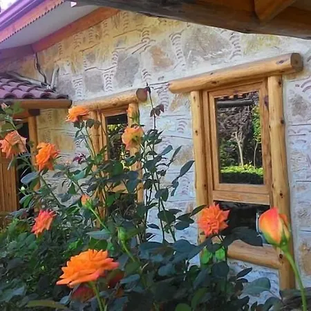 Mogla Tashan 호텔 무글라