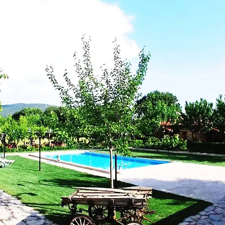 Mogla Tashan 호텔 3*