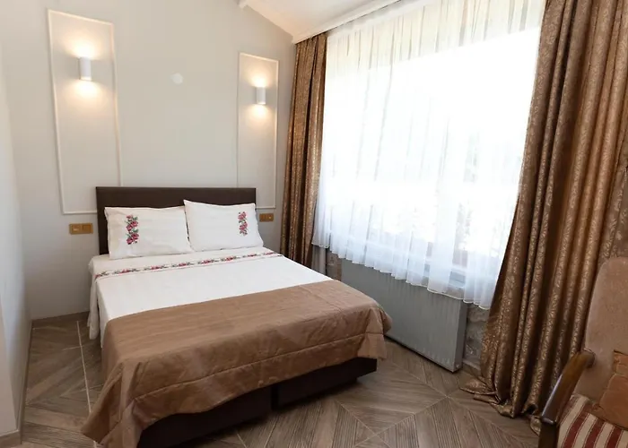 Mogla Tashan מלון 3*