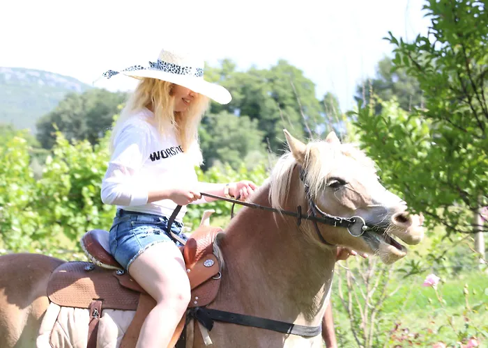 מלון Mogla Tashan