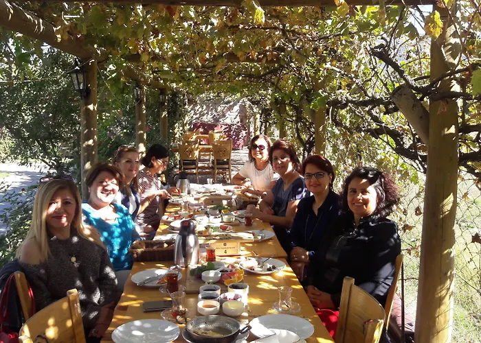 Mogla Tashan מלון 3*