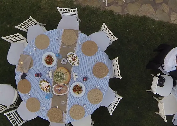 Mogla Tashan מוגלה